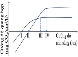 Đề thi học sinh giỏi Sinh học 12 trường THPT Quốc Tuấn (Hải Phòng) năm 2025-2026