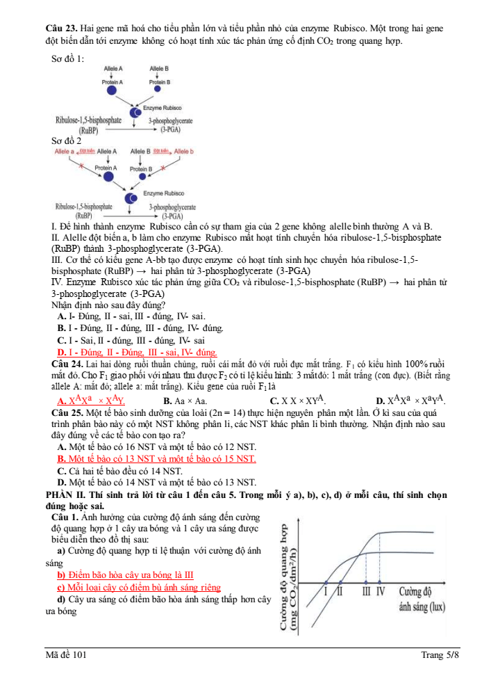 Đề thi học sinh giỏi Sinh học 12 trường THPT Quốc Tuấn (Hải Phòng) năm 2025-2026