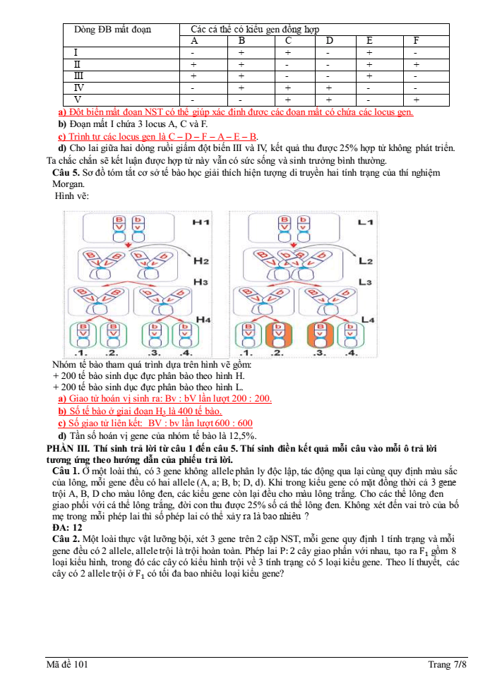 Đề thi học sinh giỏi Sinh học 12 trường THPT Quốc Tuấn (Hải Phòng) năm 2025-2026