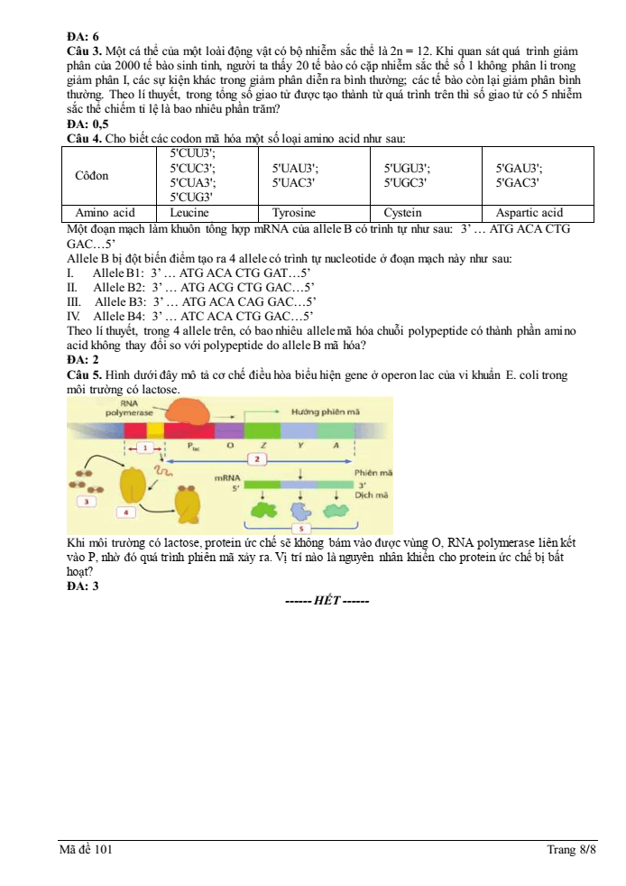 Đề thi học sinh giỏi Sinh học 12 trường THPT Quốc Tuấn (Hải Phòng) năm 2025-2026