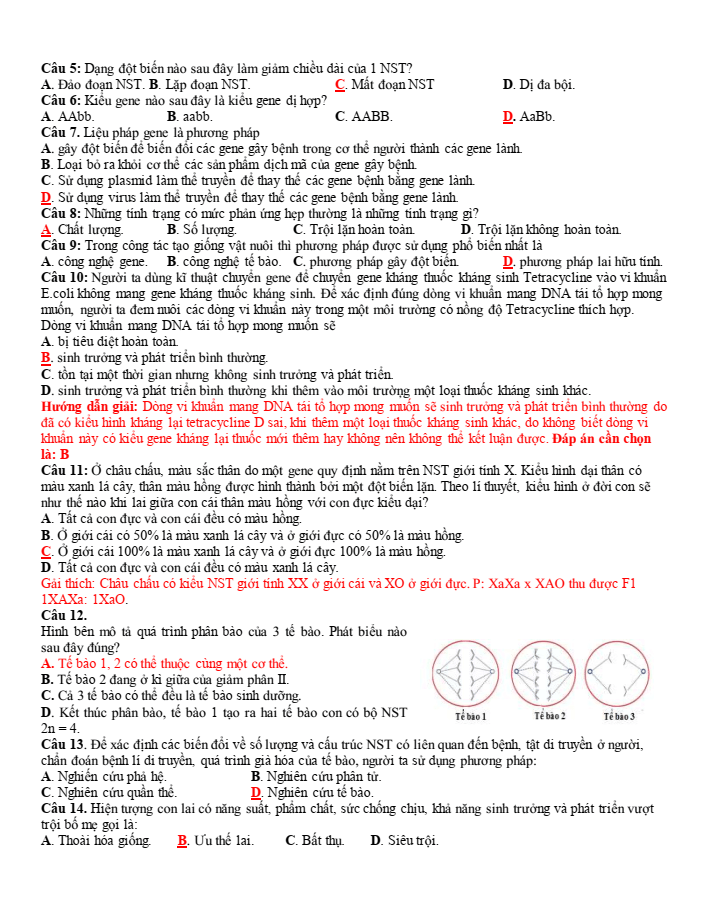 Đề thi học sinh giỏi Sinh học 12 trường THPT Sầm Sơn (Thanh Hoá) năm 2025-2026