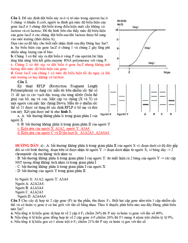Đề thi học sinh giỏi Sinh học 12 trường THPT Sầm Sơn (Thanh Hoá) năm 2025-2026