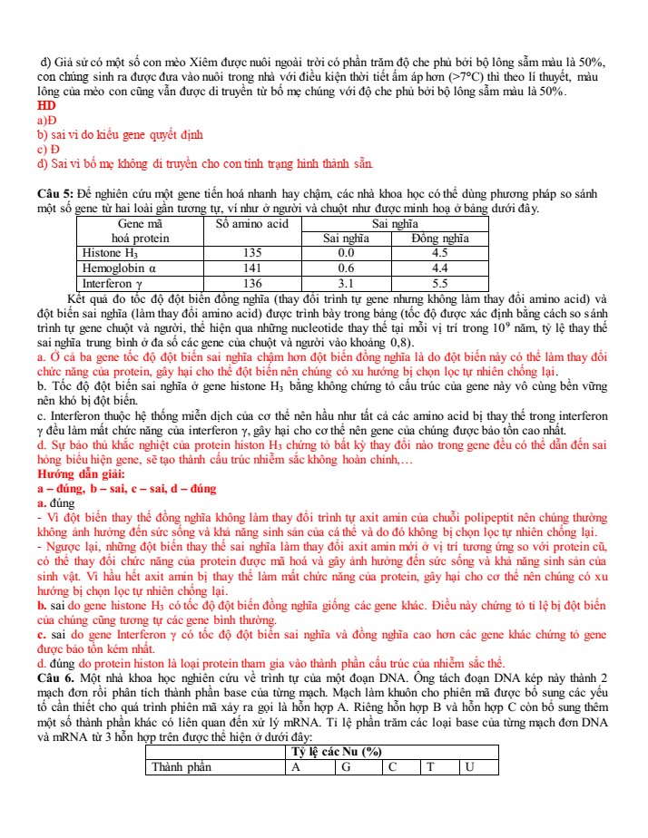 Đề thi học sinh giỏi Sinh học 12 trường THPT Sầm Sơn (Thanh Hoá) năm 2025-2026