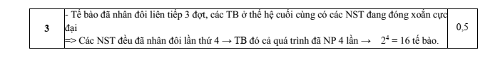 Đề thi học sinh giỏi Sinh học 12 Liên trường THPT Quỳnh Lưu; Hoàng Mai; Nguyễn Xuân Ôn; Diễn Châu 2; Nghi Lộc 3; Thái Hòa; Cờ Đỏ năm 2025