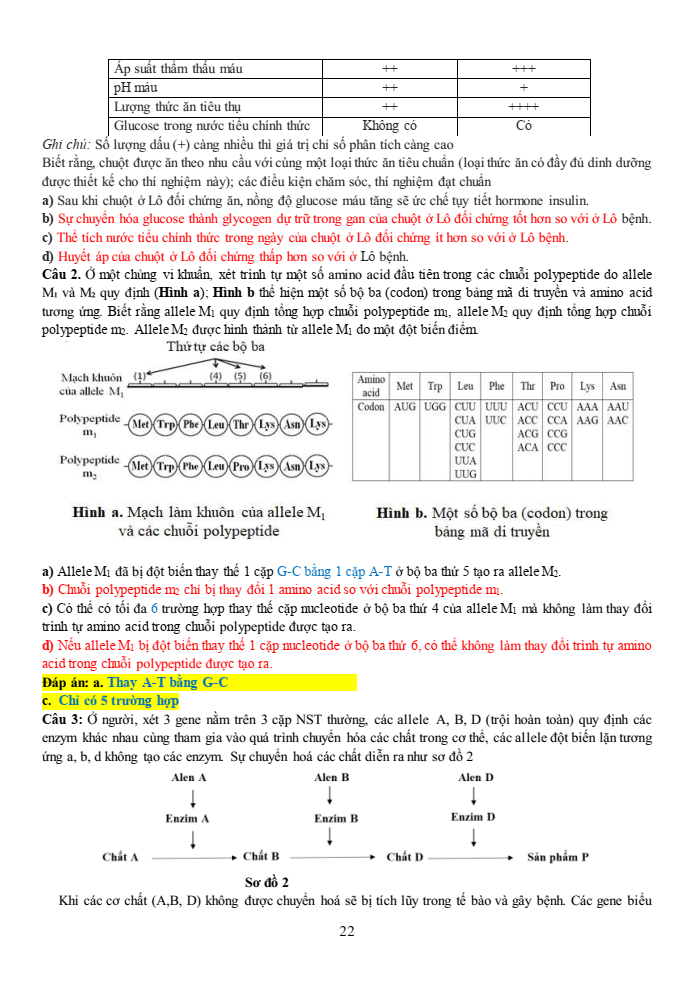 Đề thi học sinh giỏi Sinh học 12 trường THPT Thanh Thủy (Phú Thọ) năm 2025-2026