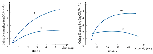 Đề thi học sinh giỏi Sinh học 12 trường THPT Thanh Thủy (Phú Thọ) năm 2025-2026