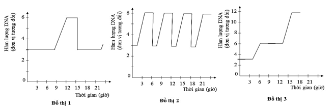 Đề thi học sinh giỏi Sinh học 12 trường THPT Thanh Thủy (Phú Thọ) năm 2025-2026