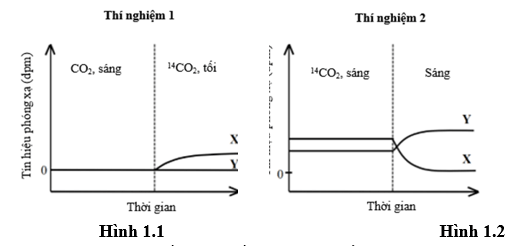 Đề thi học sinh giỏi Sinh học 12 trường THPT Thanh Thủy (Phú Thọ) năm 2025-2026