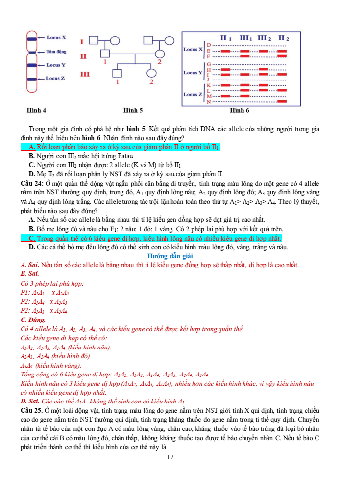 Đề thi học sinh giỏi Sinh học 12 trường THPT Thanh Thủy (Phú Thọ) năm 2025-2026