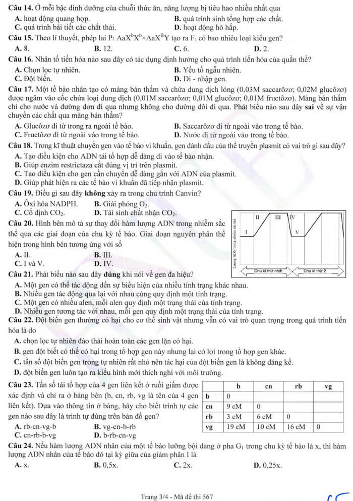 Đề thi Sinh học ĐGNL Đại học Sư phạm Hà Nội 2024