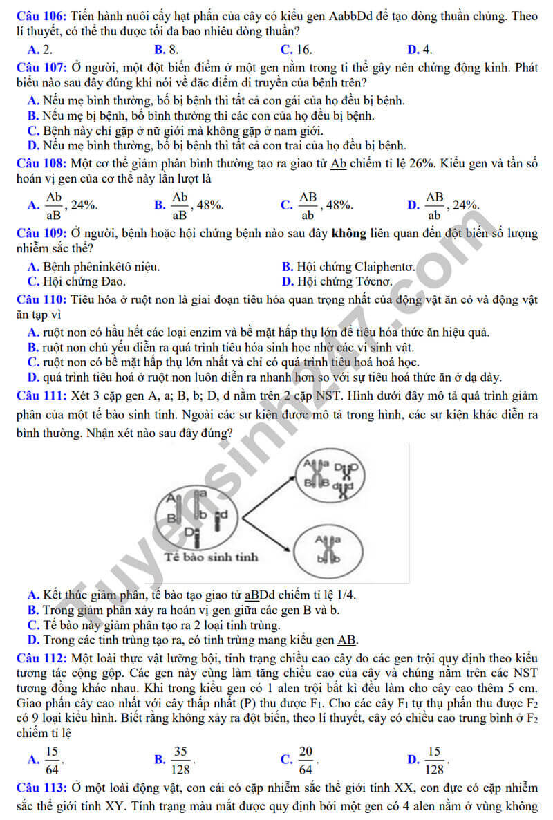 Đề thi thử 2024 Sinh Sở GD Hải Dương