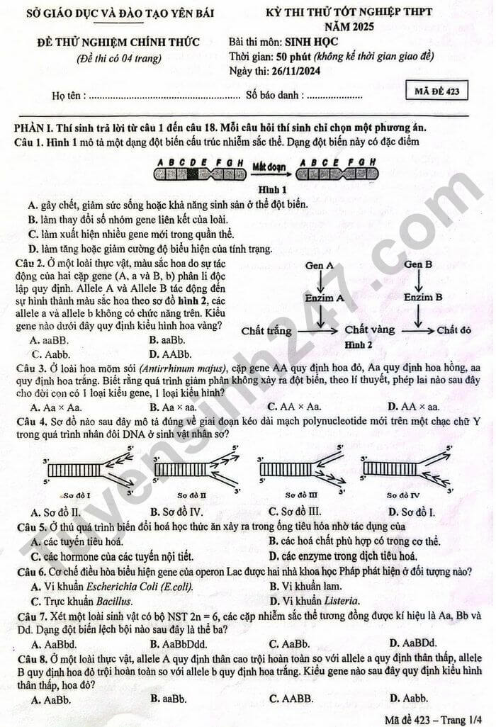 Đề thi thử 2024 Sinh Sở GD Yên Bái