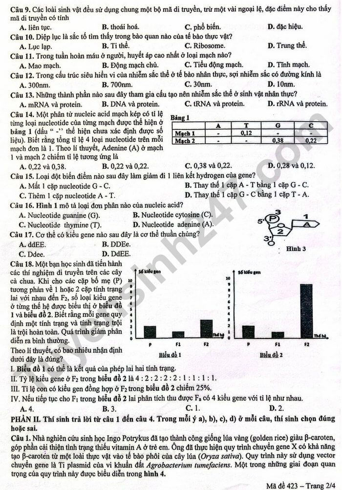 Đề thi thử 2024 Sinh Sở GD Yên Bái