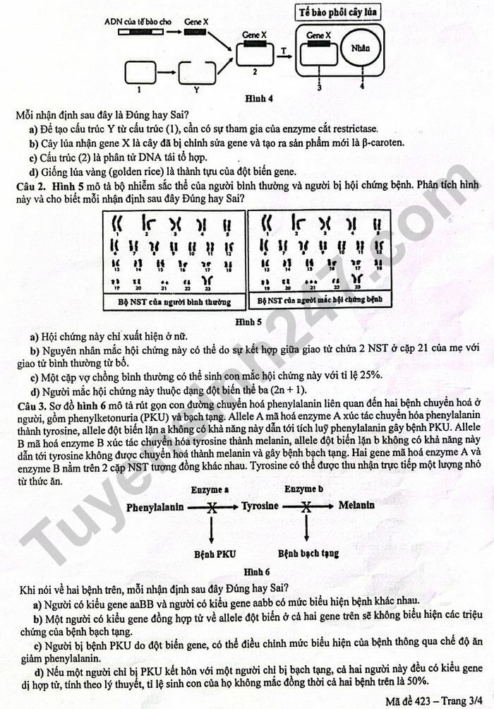 Đề thi thử 2024 Sinh Sở GD Yên Bái