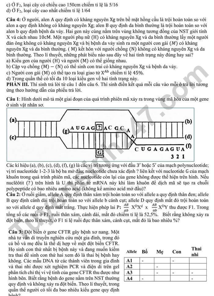 Đề thi thử 2024 Sinh trường THPT Hà Trung