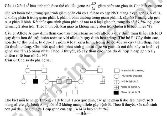 Đề thi thử 2024 Sinh trường THPT Hà Trung