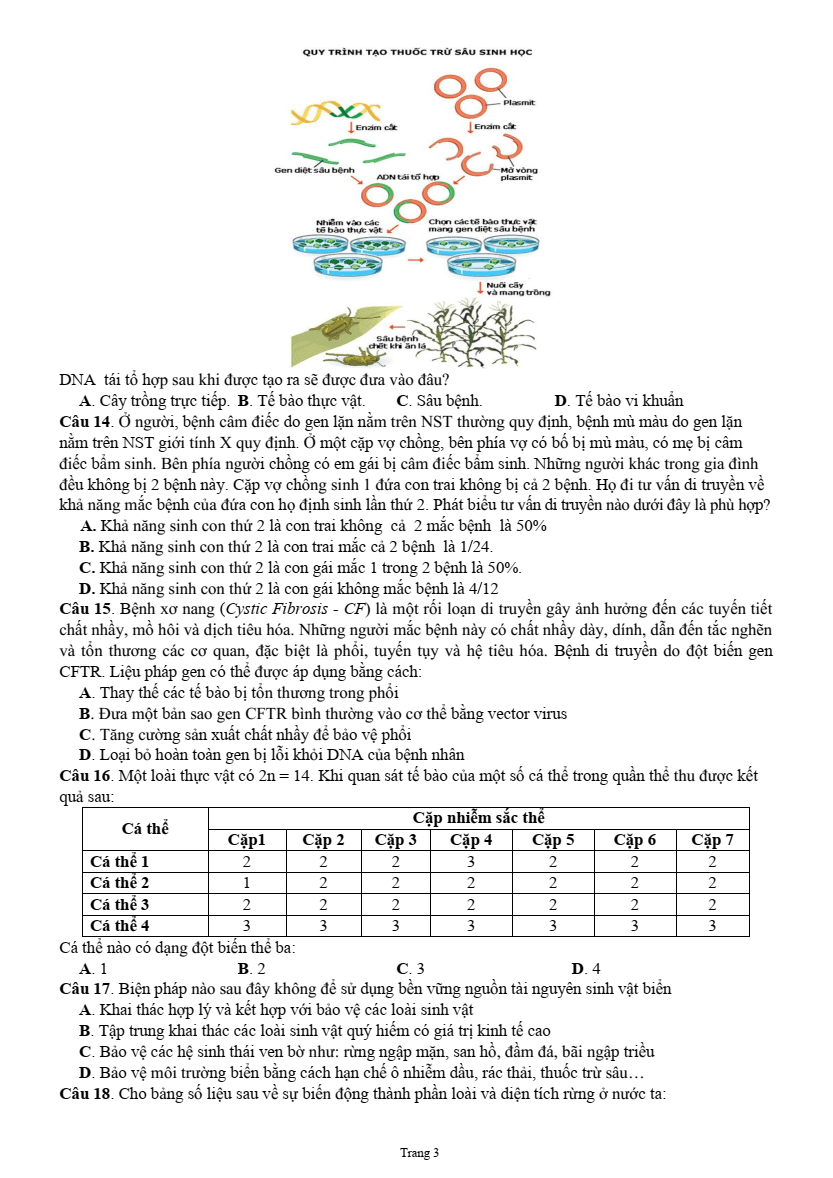 Đề thi thử 2025 Sinh sở GD&ĐT Bắc Ninh