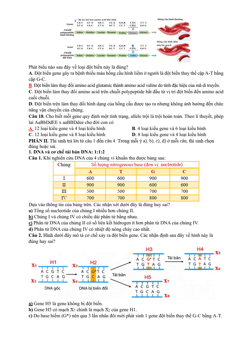 Đề thi thử 2025 Sinh sở GD&ĐT Ninh Bình