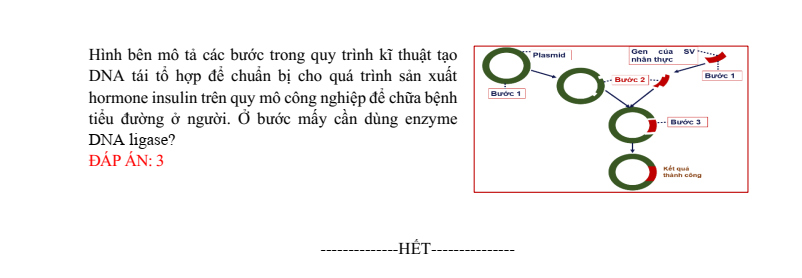 Đề thi thử 2025 Sinh sở GD&ĐT Ninh Bình