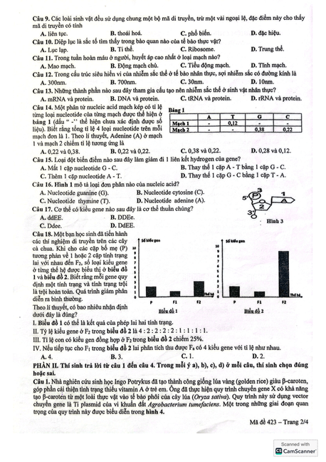 Đề thi thử 2025 Sinh sở GD&ĐT Yên Bái