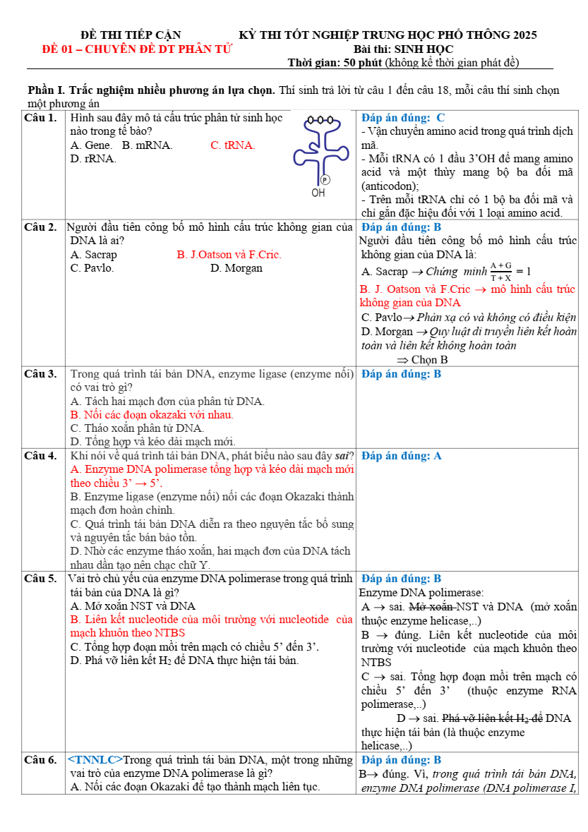 Đề thi thử Tốt nghiệp Sinh học 2025 trường THCS & THPT Phan Chu Trinh (Bình Dương)