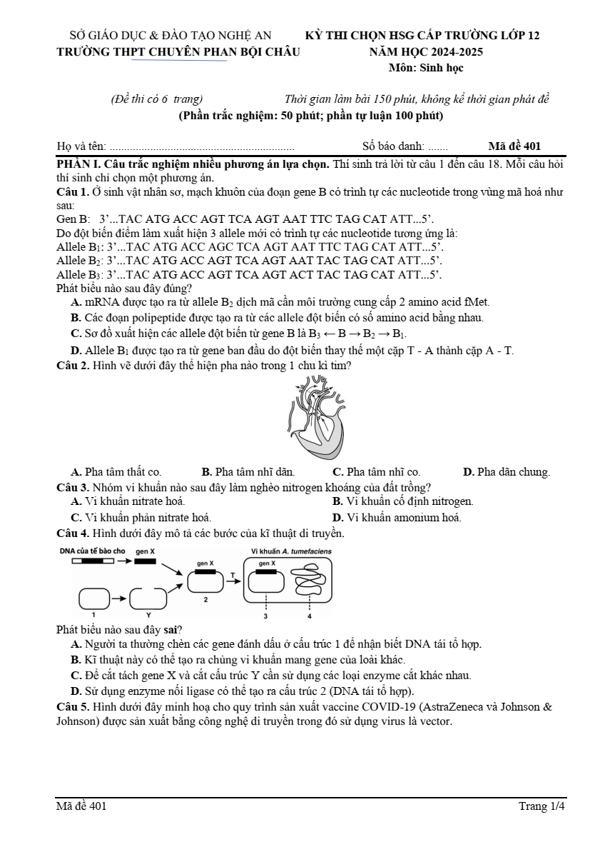 Đề thi thử Tốt nghiệp Sinh học 2025 trường THPT chuyên Phan Bội Châu (Nghệ An)