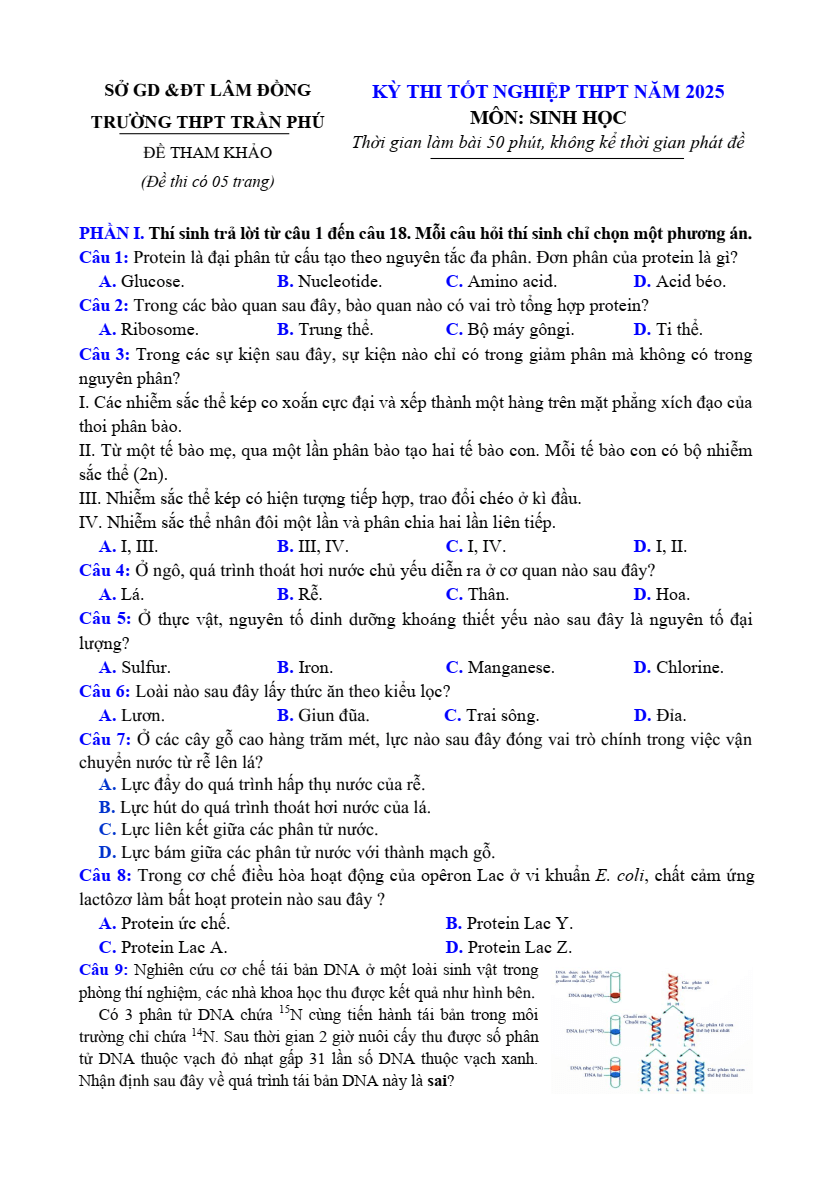 Đề thi thử Tốt nghiệp Sinh học 2025 trường THPT Trần Phú (Lâm Đồng)
