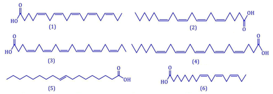 Đề thi thử Hóa Tốt nghiệp THPT 2025-2026 trường THPT Hậu Lộc 4 (Thanh Hóa)