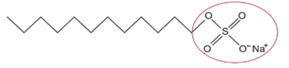 Đề thi thử Hóa Tốt nghiệp THPT 2025-2026 trường THPT Hồ Nghinh – Lê Hồng Phong – Nguyễn Hiền – Sào Nam (Đà Nẵng)