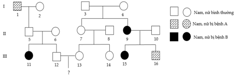 Đề thi thử Sinh Tốt nghiệp THPT 2025-2026 Cụm 13 trường THPT (Hải Phòng)