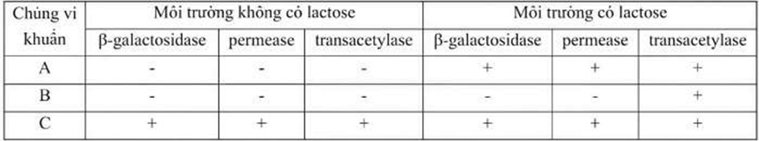 Đề thi thử Sinh Tốt nghiệp THPT 2025-2026 Cụm trường THPT TT1-QV1-LVT – Bắc Ninhtieude