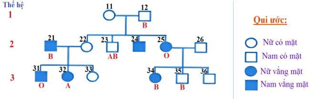 Đề thi thử Sinh Tốt nghiệp THPT 2025-2026 Cụm trường THPT TT1-QV1-LVT – Bắc Ninhtieude