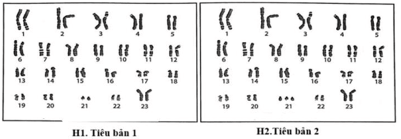 Đề thi thử Sinh Tốt nghiệp THPT 2025-2026 Sở GD&ĐT Ninh Bình