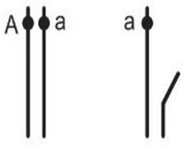 Đề thi thử Sinh Tốt nghiệp THPT 2025-2026 trường TH-THCS-THPT Lê Thánh Tông (TP.HCM)