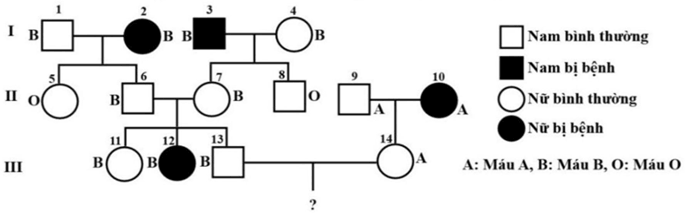 Đề thi thử Sinh Tốt nghiệp THPT 2025-2026 trường THCS - THPT Nguyễn Khuyến (TP. HCM)