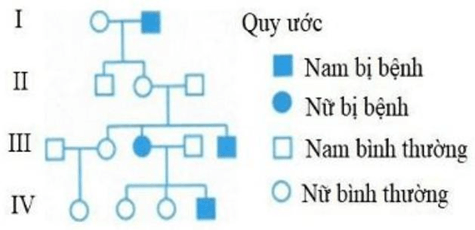 Đề thi thử Sinh Tốt nghiệp THPT 2025-2026 trường THPT Chuyên Hạ Long (Quảng Ninh)