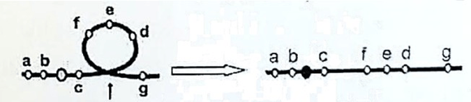Đề thi thử Sinh Tốt nghiệp THPT 2025-2026 trường THPT Chuyên Thoại Ngọc Hầu (An Giang)