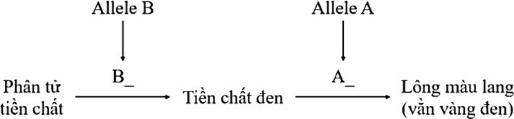 Đề thi thử Sinh Tốt nghiệp THPT 2025-2026 trường THPT Chuyên Thoại Ngọc Hầu (An Giang)