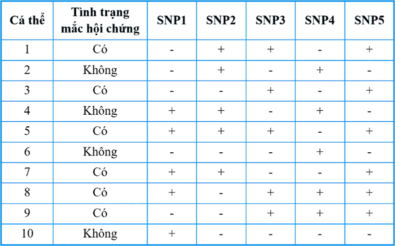Đề thi thử Sinh Tốt nghiệp THPT 2025-2026 trường THPT Chuyên Thoại Ngọc Hầu (An Giang)