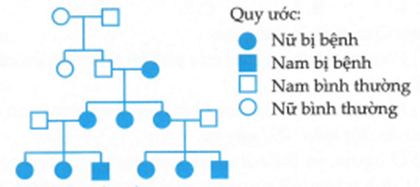 Đề thi thử Sinh Tốt nghiệp THPT 2025-2026 trường THPT Hậu Lộc 4 (Thanh Hóa)