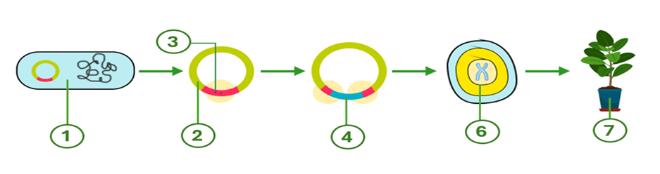 Đề thi thử Sinh Tốt nghiệp THPT 2025-2026 trường THPT Hậu Lộc 4 (Thanh Hóa)
