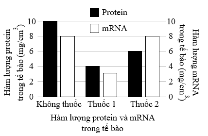 Đề thi thử Sinh Tốt nghiệp THPT 2025-2026 trường THPT Hậu Lộc 4 (Thanh Hóa)