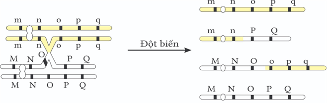 Đề thi thử Sinh Tốt nghiệp THPT 2025-2026 trường THPT Tĩnh Gia 4 (Thanh Hóa)