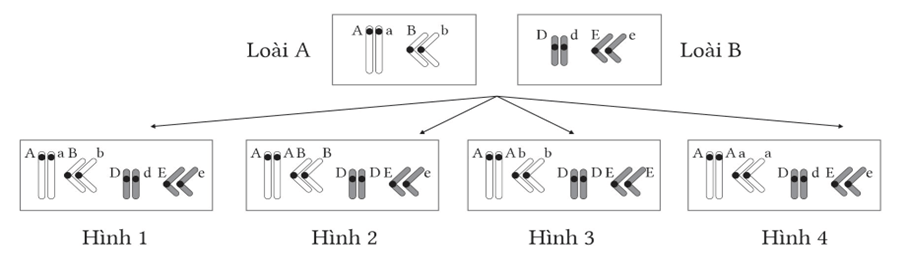 Đề thi thử Sinh Tốt nghiệp THPT 2025-2026 trường THPT Tĩnh Gia 4 (Thanh Hóa)