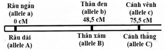 Đề thi thử Sinh Tốt nghiệp THPT 2025-2026 trường THPT Triệu Sơn 1 (Thanh Hóa)