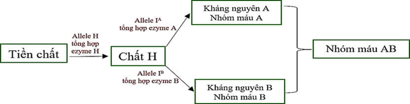 Đề thi thử Sinh Tốt nghiệp THPT 2025-2026 trường THPT Triệu Sơn 1 (Thanh Hóa)