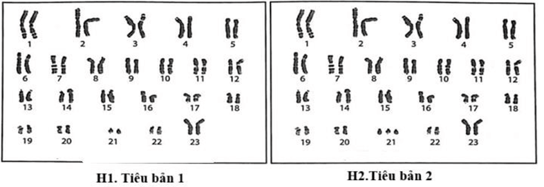 Đề thi thử Sinh Tốt nghiệp THPT 2025-2026 trường THPT Triệu Sơn 1 (Thanh Hóa)