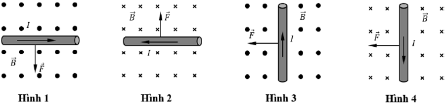 Đề thi thử Vật lí Tốt nghiệp THPT 2025-2026 Sở GD&ĐT Cao Bằng