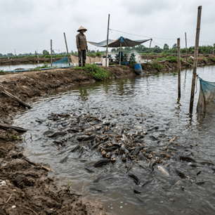 Đề thi Tốt nghiệp THPT Công nghệ Nông nghiệp 2026 (có lời giải)