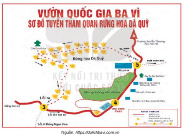 (Tổng ôn Ngữ văn) Phương tiện giao tiếp phi ngôn ngữ